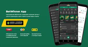 The Ultimate Guide to Betwinner Features, Bonuses, and More