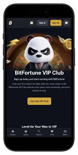 Discover Bitfortune The Ultimate Hub for Live Casino Enthusiasts