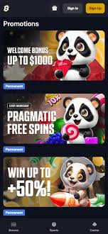 Mastering the Buffalo Power Bankroll Strategy for Online Gaming