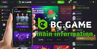 Exciting BC.Game Promotions for UAE Players Maximize Your Earnings!