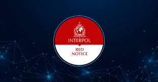 Interpol Law Firm Your Trusted Partner in Criminal Defense 1342399051