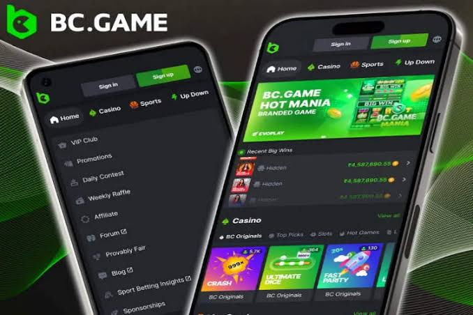 Exploring BC.Game Sportsbook The Future of Online Betting in Pakistan